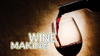 How To Make Wine  The Best [upl. by Nauqas]