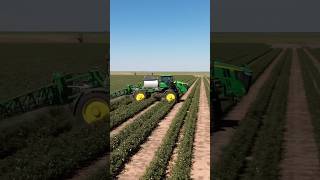 Defoliating Cotton On The Farm With John Deere 412r  farming tractor shorts [upl. by Asuncion]