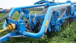 Standen  TSP1900  Sweet Potato Harvester  USA [upl. by Airogerg38]