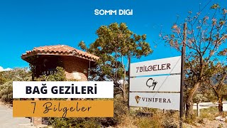 7 Bilgeler Bağ Gezisi Şarap Tadımı Şarap Öğrenme [upl. by Ekihc]