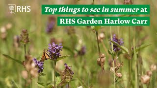 Top things to see in summer at RHS Garden Harlow Carr  The RHS [upl. by Carver]