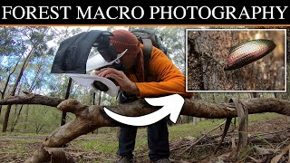 Macro Exploration with the Canon R7 amp Laowa 90mm  Wattle Park Episode II [upl. by Silevi]