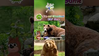 The Animals  Bear  Teddy bear  Learn about bear  MrBear  Kids Song  EduFam [upl. by Ole]