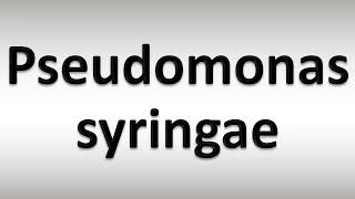 How to Pronounce Pseudomonas syringae [upl. by Oralle]