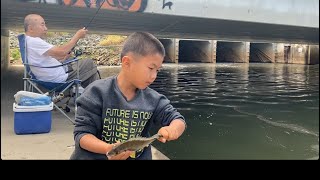 Fishing YATALA  JACOBS WELL Nuv ntses [upl. by Kallista]