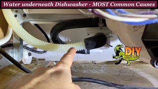 Water leaking under Dishwasher  Most common causes [upl. by Aneelehs812]