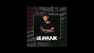 Le Shuuk  Sara perche ti amo Lyric Video [upl. by Duj]