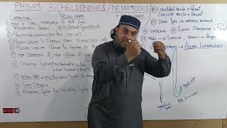 Lec 6 Phylum Aschelminthes  Nematodes  By Lecturer Sajjad khan [upl. by Nevar]