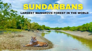 Sundarban Tour  2 Nights 3 Days Sundarban Tour Package  Largest Mangrove Forest Sundarbans [upl. by Aurthur]