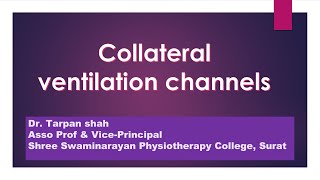 Collateral ventilation Channels [upl. by Earissed846]