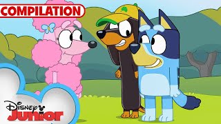 Bluey Compilation  S1 Full Episodes  Keepy Uppy amp MORE  disneyjr xBlueyOfficialChannel [upl. by Meerak]