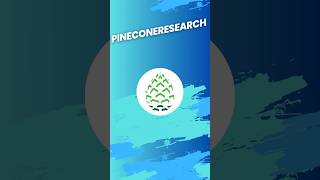 Pinecone Research 2024  EarnOnline PaidSurveys WorkFromHome SideHustle MakeMoneyOnline [upl. by Seka]