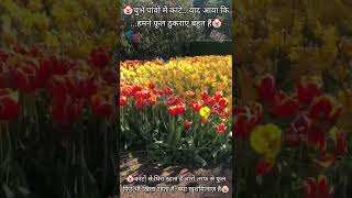 🤡bAhArO MeRa jeVaN🤡 youtube love life youtubeshorts marathimanus nature beauty marathistatus [upl. by Rim]