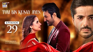 Tum Bin Kesay Jiyen Episode 29  15 March 2024 English Subtitles ARY Digital [upl. by Nired]