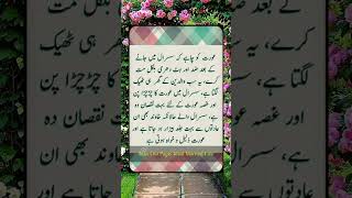 عورت کو چاہیے flute music cover ringtone recorder quotes backgroundmuisc musiclove duet [upl. by Lizabeth]