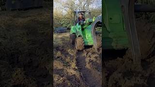 Sketchy Sycamore Tree Takedown arborist [upl. by Harehs238]