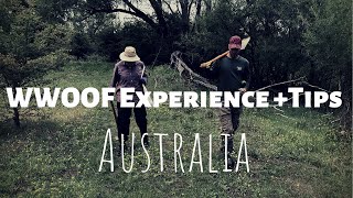 WWOOFING Experience Gone Wrong  Tips To Avoid Bad Volunteer  Australia [upl. by Tremml]