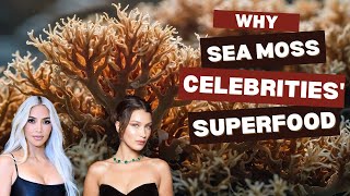 Why SEA MOSS is Celebrities Secret Superfood [upl. by Aydiv952]