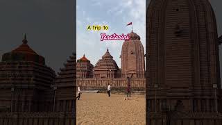 Taratarini Temple Ganjam Odisha odishatravelvlog odishatravel odishatravel ytshortsindia [upl. by Yttik]