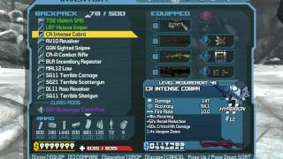 Borderlands Inventory Glitch [upl. by Fulks]