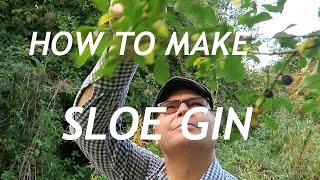 Sloe Gin How to Make Sloe Gin Country Recipe at end of video [upl. by Charity]