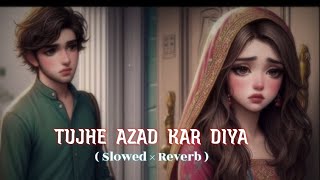 Tujhe Azad Kar Diya  slowed × reverb   Slowed and Reverb Songs  Le Liya Ye Faisla Song [upl. by Leahcar240]