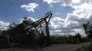 Storm laat ravage achter in Neerkant [upl. by Luhey11]