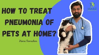 How to Treat Pnemonia of Pets at Home  pneumonia catlover veterinary cattreat veterinarian [upl. by Ahsinat]