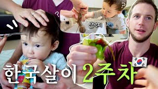 베넷머리 첫 이발✂️5년차 독일사위 한식 챌린지🇩🇪청국장 과메기 산낙지🇰🇷국제커플 11개월아기 육아브이로그 [upl. by Vally7]