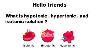 Hypertonic  hypotonic and Isotonic solution Science student [upl. by Ssalguod]