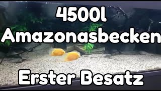 4500l Amazonasbecken  Erster Besatz 2 [upl. by Anawd970]