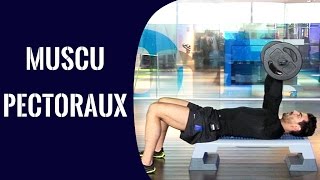 Musculation  3 exercices pour les pectoraux [upl. by Meilen]