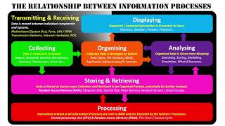 The Relationship Between Information Processes [upl. by Oinotnas625]