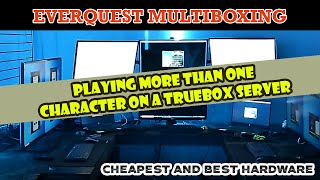 Best Setup to MultiBox on an Everquest TrueBox Server [upl. by Rehsu739]