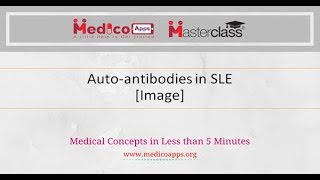 Autoantibodies in SLE Image [upl. by Lesde]