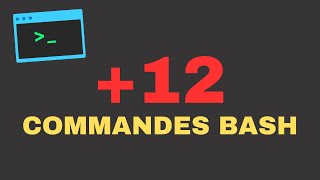 12 COMMANDES EN BASH POUR LES DEBUTANTS [upl. by Nitniuq]