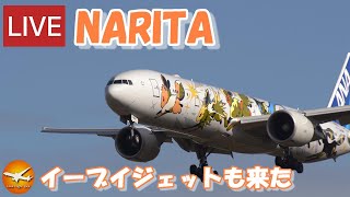 🔴LIVE at NARITA International Airport Plane Spotting 20240227 成田空港ライブカメラ 成田空港 NRTRJAA [upl. by Ueik]