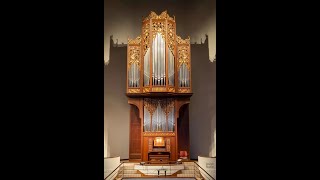 Peiyao Yu Organ [upl. by Ttennaej401]