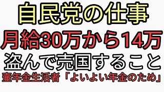 働いた手取り30万のうち14万円税金でとられてさらなる増税で日本人を締め上げる、その金で売国する悪徳カルト自民党。年金生活者増税よいよい年金のため。異常な末法の時代 [upl. by Atirhs]