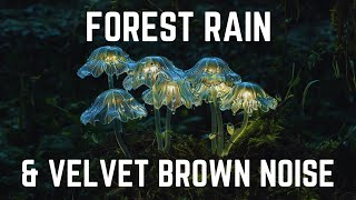 FOREST RAIN AND VELVET BROWN NOISE  12 hours  Black Screen  No Midway Ads [upl. by Maclean267]