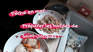 Préparer soi même les bardes de coquilles Saint Jacques [upl. by Wooster]