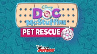 Pet Rescue Music Video  Doc McStuffins  Disney Junior [upl. by Padriac]