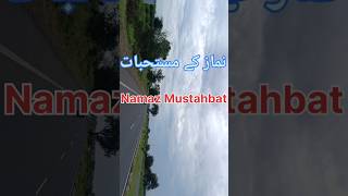 Namaz kae Mustahbad  Nazame kaisi pademessageofislamicsmh islamicshorts viralvideo nizamuddin [upl. by Campagna]