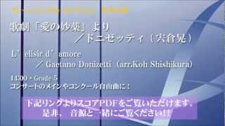 歌劇「愛の妙薬」より／Lelisir damore／Gドニゼッティ編曲：宍倉 晃／Gaetano DonizettiKoh Shishikura [upl. by Ticon]