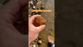 Continuing Carnelian Oregon explore nature find rock crystal fyp pnw hiking [upl. by Ahsinod]