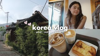 KOREA VLOG 💌 what i eat in a week scalp treatment shopping at coex cute cafes 1M dance studio [upl. by Yelloh]