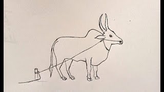 How to draw Ox I Kangayam drawing I Pencil drawing [upl. by Keeler838]