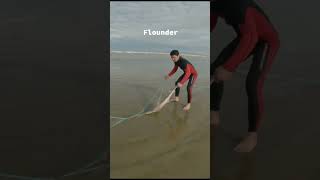 Flounder fishing fishingvideo fish flounderfishing flounder [upl. by Akiam]