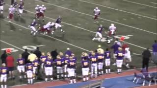 2014 RB Leonard Fournette Highlights from his sophomore season [upl. by Narhet70]