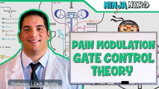 Ascending Tracts  Pain Modulation Gate Control Theory [upl. by Ettedranreb]